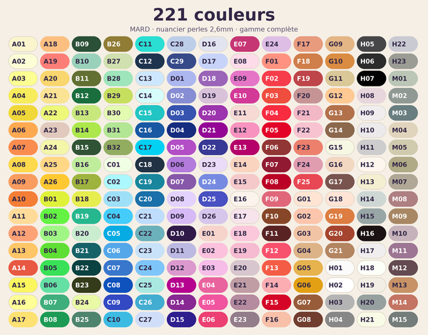 Coffret intégral de perles à repasser 2,6 mm – 221 couleurs MARD + outils